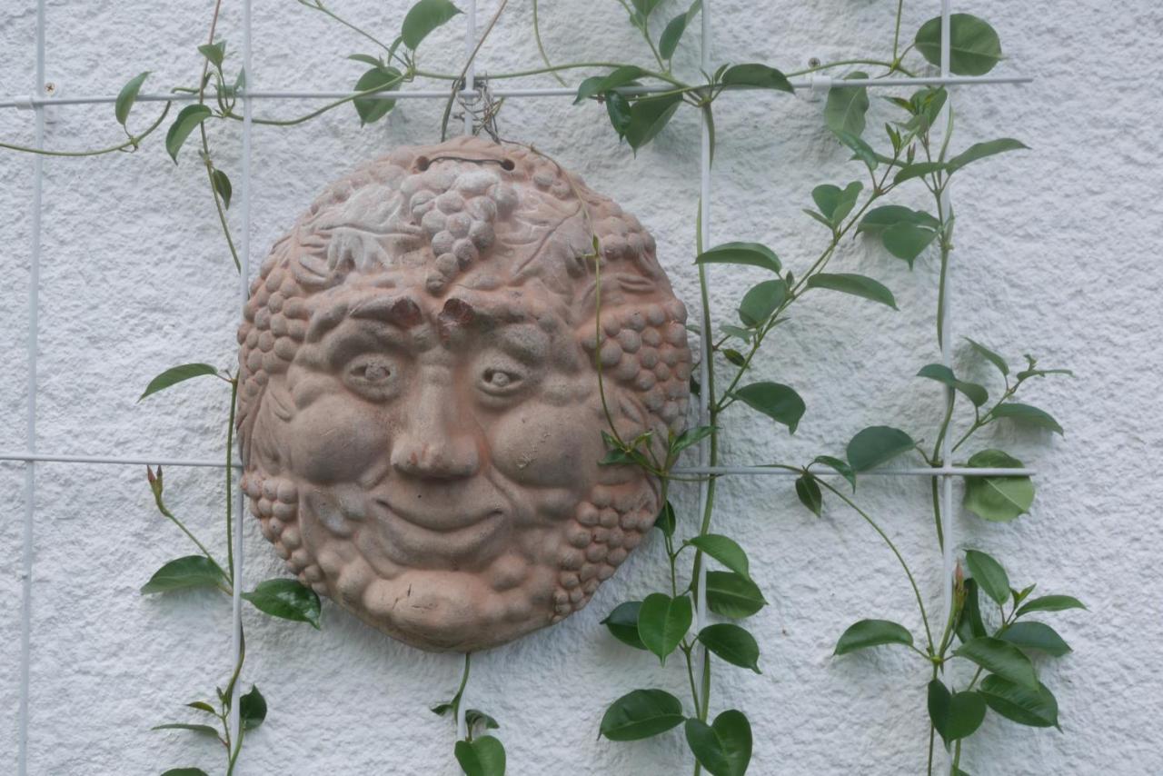 Homestay Glueck In Benrath Dusseldorf